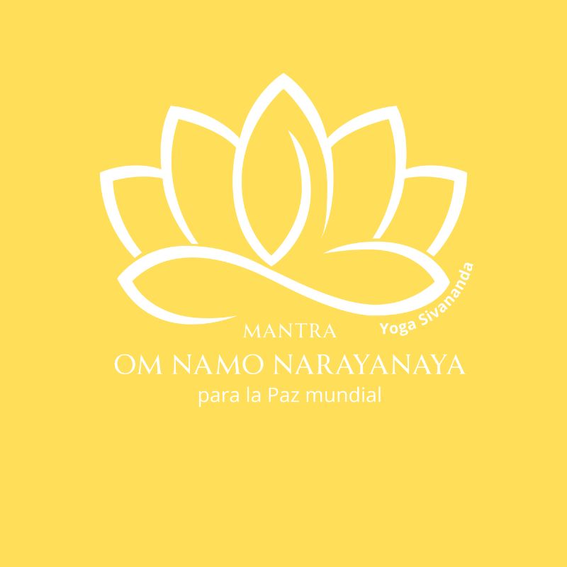 Sudadera serigrafiada