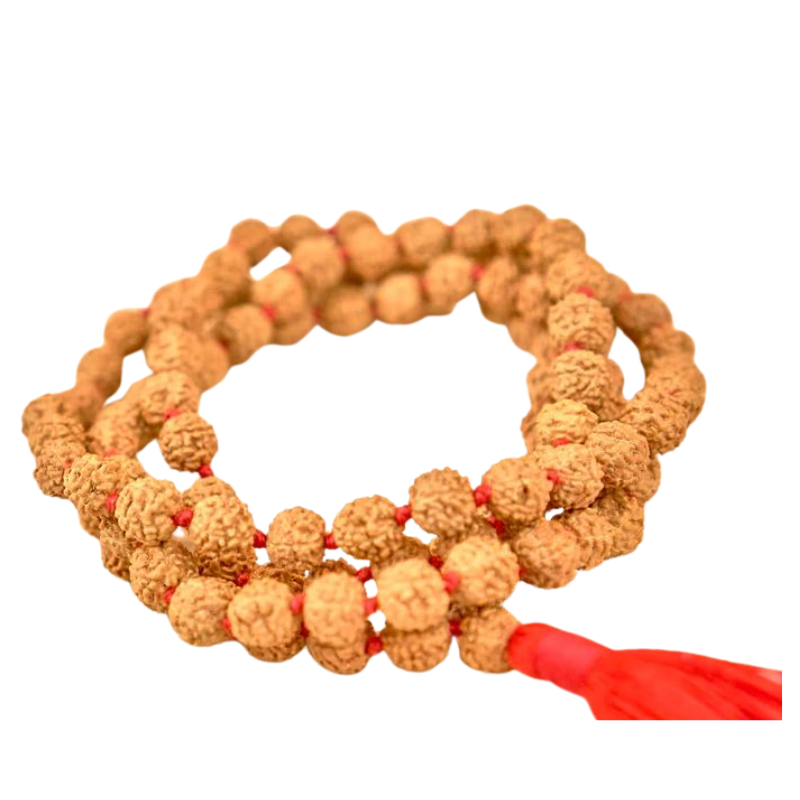 Mala de rudraksha